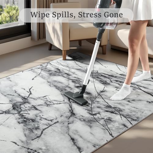 CRYPTOLITE Abstract Area Rug Washable Rug with Non-Slip Backing Low Pile Area Rugs for Living Room, Bedroom, Dining Room,4x6, Silver&Grey - color: Marble - Silver Grey, size: 4' x 6' (Rectangular)