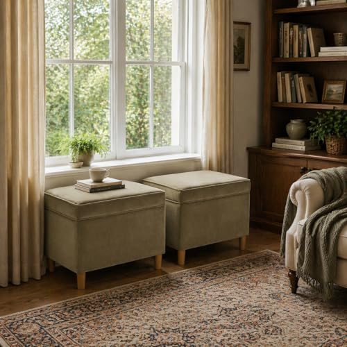 HomePop 24" Dinah Collection Storage Ottoman - Light Sage Green Velvet - color: Light Sage Green Velvet