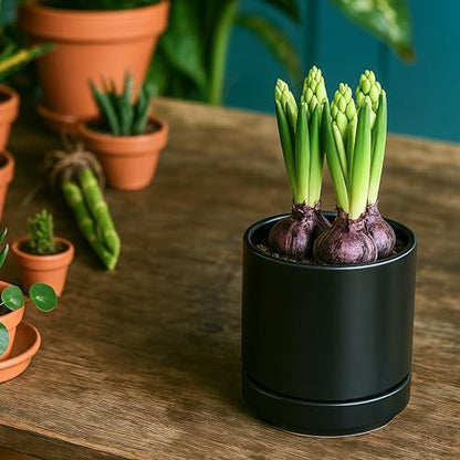 D'vine Dev 2-Pack Ceramic Pots with Saucers, Black, 4.7 in, 94-V-B-2 | Modern Cylinder Design, Glazed Ceramic, Drainage Hole & Saucer Included, High Temperature Fired, Elegant Home Accent - color: Black, size: 4.7 Inch