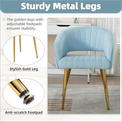 Velvet Home Office Desk Vanity Chair, No Wheels, Gold Legs, Light Blue | Modern Accent Chair with Stylish Stripe Design, Spacious‌ Soft Seat for Girls & Women Bedroom Makeup or Nail Table - color: Blue Velvet, No Wheels