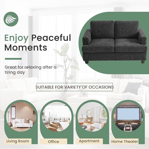 YOUDENOVA Sofa, 63” Comfy Loveseat Sofa with Deep Seats, Couch for Living Room, Modern Sleeper Couch, Dark Grey Chenille - color: Dark Grey Chenille, size: 63" Loveseat