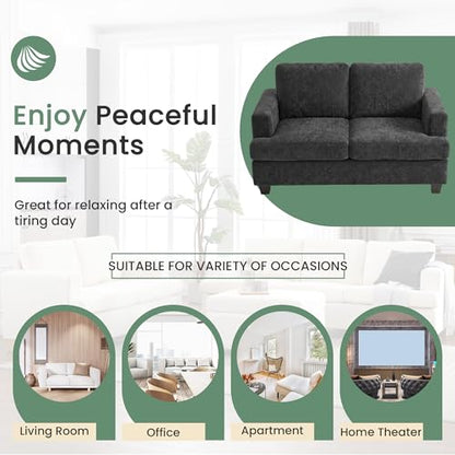 YOUDENOVA Sofa, 63” Comfy Loveseat Sofa with Deep Seats, Couch for Living Room, Modern Sleeper Couch, Dark Grey Chenille - color: Dark Grey Chenille, size: 63" Loveseat