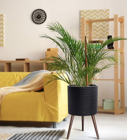 D'vine Dev Planter Pot with Wood Stand, 14 in, Distressed Black, 88-Z-D-5 | Mid-Century Modern Style, Elevated Plant Display, Drainage Hole and Plug, Functional & Stylish, Modern Indoor Planter - color: Distressed Black, size: X-Large