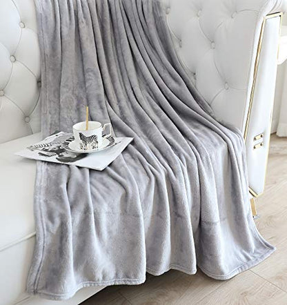 TASTHROW Large Flannel Fleece Throw Blanket, 50×70 Inch - Light Grey | Cozy Lightweight Thick Blanket - All Seasons Suitable for Women, Men and Kids (Two Pack) - color: Lightgrey, size: Two Pack 50"x70"
