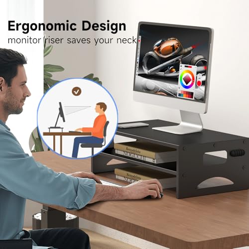 Pholiten 2-Tier Monitor Stand Riser for desk | 66.1 lbs Desk Shelf with Storage Organizer for Office, Home, Laptop Monitor Printer Stand