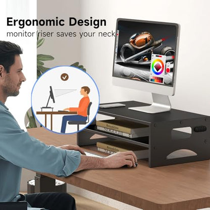 Pholiten 2-Tier Monitor Stand Riser for desk | 66.1 lbs Desk Shelf with Storage Organizer for Office, Home, Laptop Monitor Printer Stand