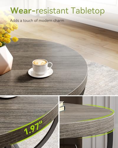 LITTLE TREE Round Coffee Table, 32" Circle Coffee Tables for Living Room | 2-Tier Wood Accent Center Table with Open Storage Industrial Design Home Furniture (Grey and Black) - color: Grey and Black