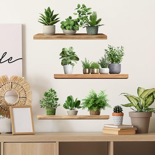 Green Plant Wall Decals 3D Bonsai Tropical Betterfly Wall Sticker Creative Vinyl Peel and Stick Removable Wall Art Decor for Living Room Bedroom Home Office (Green Plant 6) - style: Green Plant 6