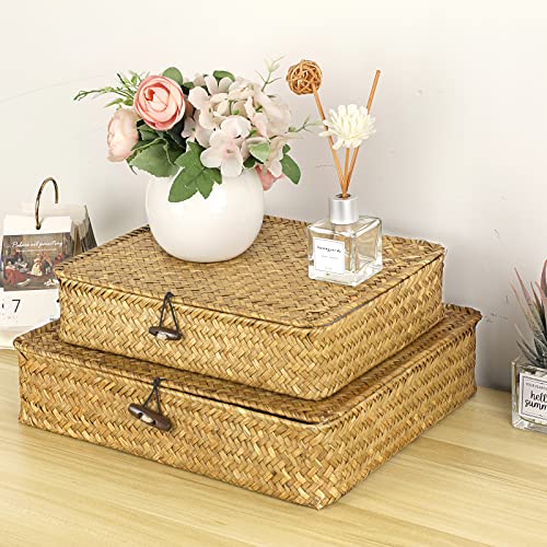 Hipiwe Set of 2 Flat Woven Wicker Storage Bins with Lid Seagrass Basket Box | Natural Handwoven Basket Multipurpose Home Organizer Bins Boxes for Shelf Organizer, Caramel - color: Caramel