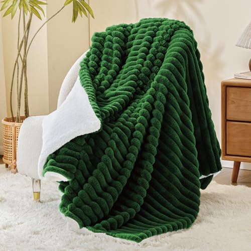 INFIIXSO Striped Sherpa Throw Blanket for Couch, Warm Plush, Green, 60x80 | Super Soft Thick Warm Striped Sherpa Blanket for Bed Sofa, Cozy Plush Fluffy Throw Gift for Women, Room Decor, All Season Use - color: Dark Green, size: Twin(60"x80")