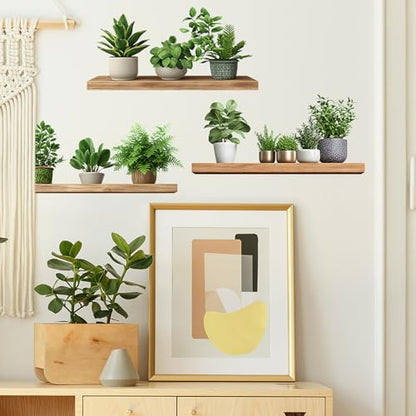 Green Plant Wall Decals 3D Bonsai Tropical Betterfly Wall Sticker Creative Vinyl Peel and Stick Removable Wall Art Decor for Living Room Bedroom Home Office (Green Plant 6) - style: Green Plant 6