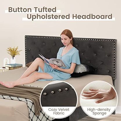 Upholstered Queen Bed Frame, Velvet Mattress Foundation w/Solid Wooden Slats Support, Button Tufted & Nailhead Trim Headboard, No Box Spring Needed, Easy Assembly, Low Platform Bed Frame - size: Queen (U.S. Standard)