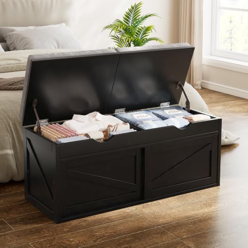iPormis Shoe Storage Bench,40" Wide 2-Tier Shoe Bench with Padded Seat Cushion and Lift Top Storage,Entryway Bench with Adjustable Shelf,Wooden End of Bed Bench,Black - color: Matte Black