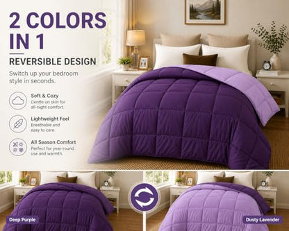 EVOLIVE Microfiber ReversibleComforter Full/Queen (Purple/Lavender) | Soft brushed microfiber with down-alternative fill offers medium-weight warmth, box stitching, and easy machine care - color: Purple/Dusty Lavender, size: Full/Queen