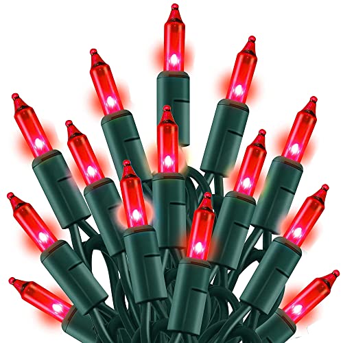 TW SHINE Valentine's Day Red Lights, 20FT 100 Count Incandescent Christmas Mini Tree String Lights, Waterproof Christmas Decorations for Outdoor Indoor Xmas Patio Home Party Garden Yard Decor - color: Red