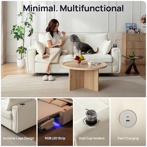 Pull Out Sofa Bed, No Cushion Removal, Queen Sleeper Sofa with USB Fast Charging, Memory Form Mattress, 2-in-1 Convertible Comfy Loveseat Couch Bed for RV, Apartment, and Small Spaces (White)