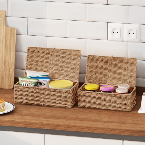 Wicker Shelf Baskets with Lid, Set of 2 Handwoven Wicker Storage Baskets for Shelves, Rectangular Storage Bins with Lid, Decorative Storage Boxes, Small Wicker Baskets for Organizing, Natural - color: Natural