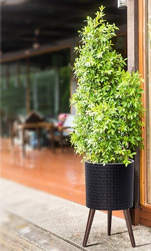 D'vine Dev Planter Pot with Wood Stand, 12 in, Distressed Black, 88-Z-C-5 | Mid-Century Modern Style, Elevated Plant Display, Drainage Hole and Plug, Functional & Stylish, Modern Indoor Planter - color: Distressed Black, size: Large