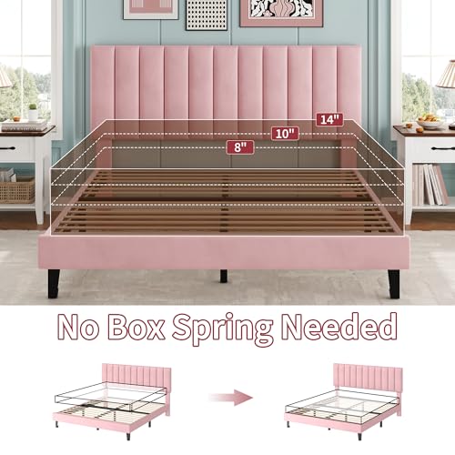 Garvee Queen Size Platform Bed Frame with Upholstered Headboard, Pink | Fully Velvet Upholstered Mattress Foundation with Height Adjustable Headboard, No Box Spring Needed, Easy Assembly - color: Pink, size: Queen