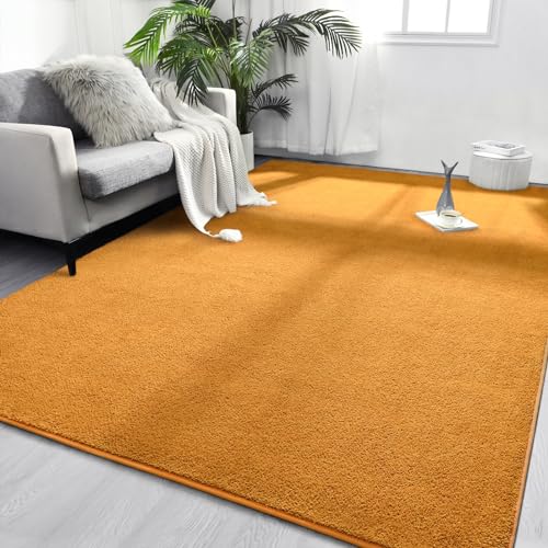 FlyDOIT Area Rugs for Bedroom Living Room, 4x6 Orange Super Soft Comfy Thickened Memory-Foam Indoor Carpets, Modern Aesthetic Minimalist Carpet for Boys Girls Adults Apartment Nursery Home Décor - color: Orange, size: 4' x 6' (Rectangular)