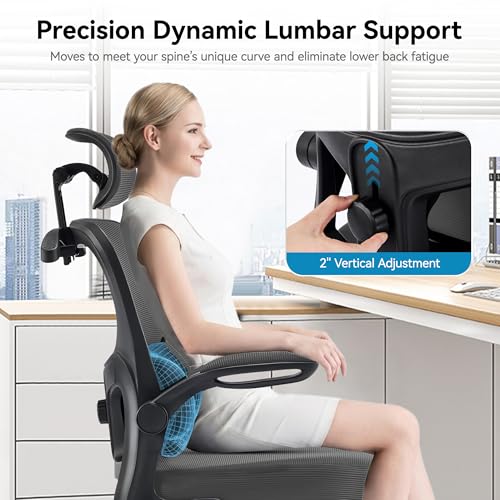 Ergonomic Office Chair, Desk Chair with Adjustable Lumbar Support | High Back Breathable Mesh Computer Chair with Adjustable Headrest,Hanger,Flip Up Armrest and Rocking Function for Home Office - color: Dark Gray