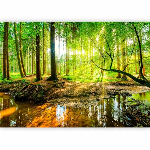 Wall Mural Forest 96x69 in - Peel and Stick Self-Adhesive Wallpaper Removable Large Sticker Foil Wall Decor Print Picture Image Design Landscape Nature Tree Sun c-B-0241-a-a - color: #12, size: 69" x 96"