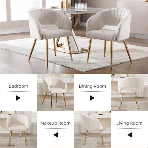 Velvet Home Office Desk Vanity Chair, No Wheels, Gold Legs, Off-White Cream | Modern Accent Chair with Stylish Stripe Design, Spacious‌ Soft Seat for Girls & Women Bedroom Makeup or Nail Table - color: Off-white Cream Velvet, No Wheels