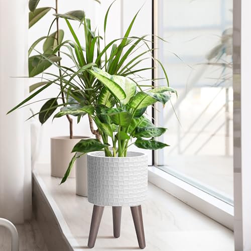 D'vine Dev Planter Pot with Wood Stand, 8 in, Matte White, 88-Z-A-1 | Mid-Century Modern Style, Elevated Plant Display, Drainage Hole and Plug, Functional & Stylish, Modern Indoor Planter - color: Matte White, size: Small