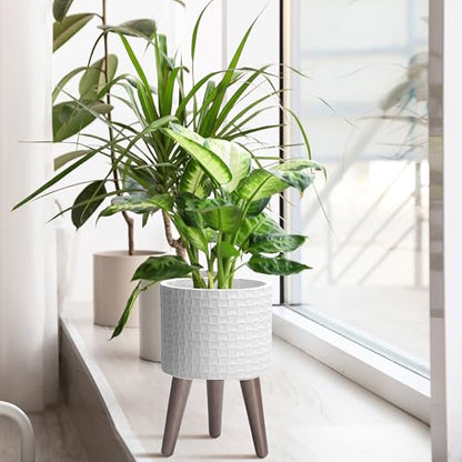 D'vine Dev Planter Pot with Wood Stand, 8 in, Matte White, 88-Z-A-1 | Mid-Century Modern Style, Elevated Plant Display, Drainage Hole and Plug, Functional & Stylish, Modern Indoor Planter - color: Matte White, size: Small