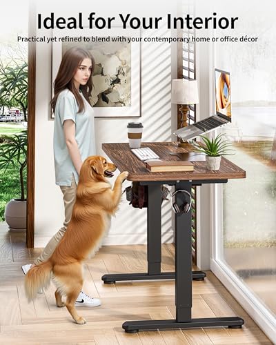 BIZUM Standing Desk Electric Adjustable Computer Desk-Stand up Desk Office Gaming Home Office Memory Desks 48x24 inches Wild Walnut - color: Wild Walnut, size: 47.2*23.6 Inch