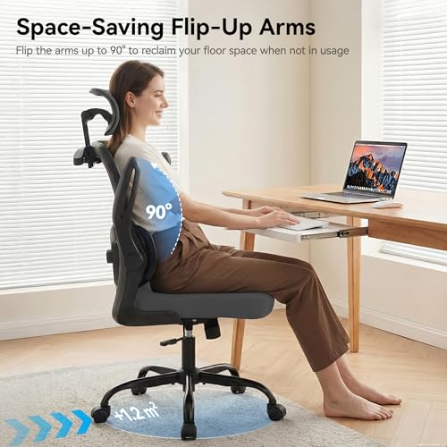 Ergonomic Office Chair, Desk Chair with Adjustable Lumbar Support | High Back Breathable Mesh Computer Chair with Adjustable Headrest,Hanger,Flip Up Armrest and Rocking Function for Home Office - color: Dark Gray
