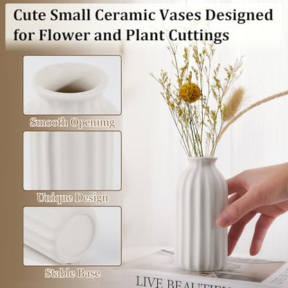 Ceramic Bud Vases, Set of 24 White Vases for Centerpieces Small VAses for Flowers Mini Ceramic Vase for Pampas Grass Vase Bulk for Wedding Table Centerpieces Decoration Boho Home Decor DIY Gift