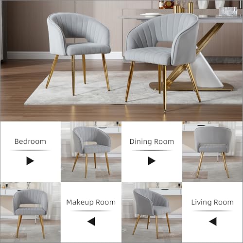 Velvet Home Office Desk Vanity Chair, No Wheels, Gold Legs, Grey | Modern Accent Chair with Stylish Stripe Design, Spacious‌ Soft Seat for Girls & Women Bedroom Makeup or Nail Table - color: Grey Velvet, No Wheels