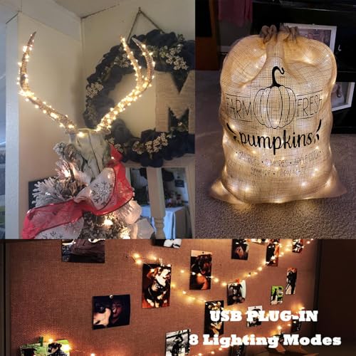 USB Fairy Lights, 2 Pack 33Ft 100 LED, Flexible Silver Wire Mini String Lights for Bedroom Wedding Christmas Decor, DIY Crafting, Warm White
