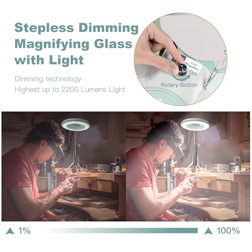 Magnifying Glass with Light and Clamp,10X Lighted Magnifying Glass Lamp LED Dimmable,5 Inches Lens with Stainless Steel Arm for Reading,Craft,Painting and Close Work(White Cover) - style: Modern