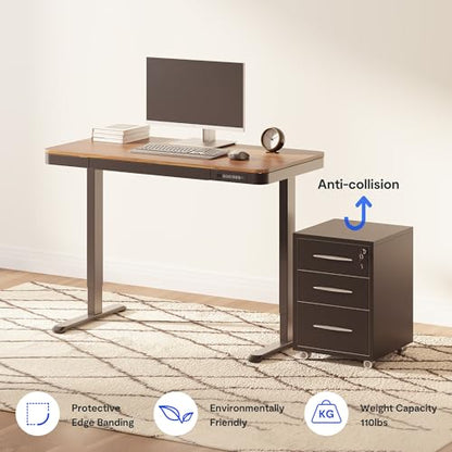 FLEXISPOT Comhar 48" Electric Standing Desk with Storage, Built-in Drawer & USB Charging Ports, Height Adjustable Sit Stand Computer Desk, Quick Assembly, Child Lock, Walnut - size: 48"Dark Walnut/Black