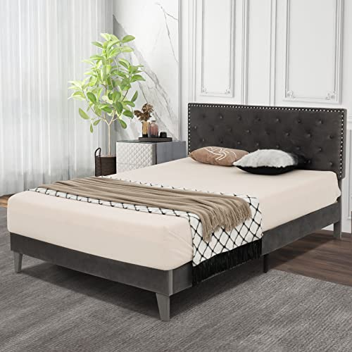 Upholstered Queen Bed Frame, Velvet Mattress Foundation w/Solid Wooden Slats Support, Button Tufted & Nailhead Trim Headboard, No Box Spring Needed, Easy Assembly, Low Platform Bed Frame - size: Queen (U.S. Standard)