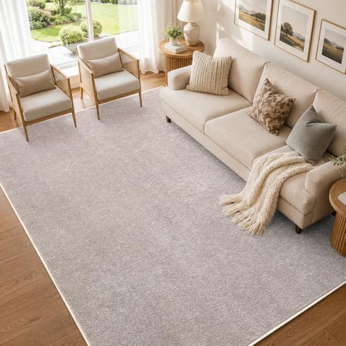 5x7 Oatmeal/White Area Rug Non-Slip Washable Soft for Living Room Bedroom | Soft丨Stays Put丨Low Pile Thin丨Lays Flat丨Kid & Pet Friendly丨Dorm丨Dining Room丨Nursery丨Indoor丨Laundry丨Kids Room丨Carpet丨Home Decor - color: Light Tan, size: 5' x 7' (Rectangular)