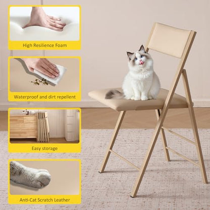 Folding Chairs 2 Pack, 450Lbs Steel Frame Foldable Dining Chairs, Wood | 1.37" Folded, Waterproof Rustproof Indoor Outdoor Padded Folding Chairs for Dining Room, Conference Rooms, Weddings, Events - color: Wood