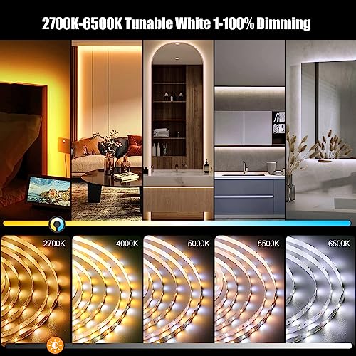 White LED Strip Lights, 100ft Dimmable Bright 24V Led Tape Light with Remote and App Control, 2700K-6500K White 1800 LEDs Lights for Bedroom, Kitchen, Ceiling (2 Rolls of 50ft) - style: 2 Rolls of 50ft