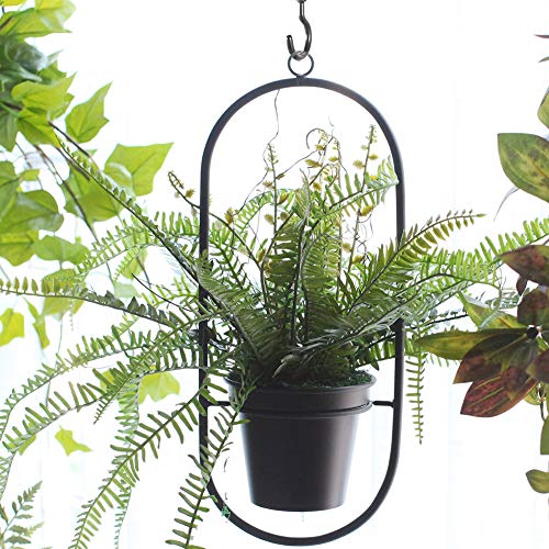 2 Inch Ceiling Hooks, Vinyl Coated Screw-in Cup Hook for Hanging Plants, Lights, Mugs - Heavy Duty Indoor Outdoor Use, Metal Wall Kitchen Hanger, Black (12 Pack)