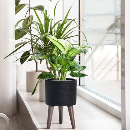 D'vine Dev Planter Pot with Wood Stand, 8 in, Matte Black, 88-Z-A-2 | Mid-Century Modern Style, Elevated Plant Display, Drainage Hole and Plug, Functional & Stylish, Modern Indoor Planter - color: Matte Black, size: Small