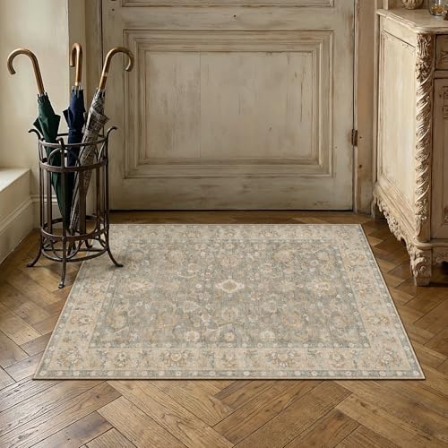 2x3 Brown Neutral Small Area Rug | Washable, Non Slip, Low Pile, Soft, Vintage, Distressed, Floral, Farmhouse, for Entryway Kitchen Bathroom Laundry Room - color: Brown, size: 2' x 3' (Rectangular)