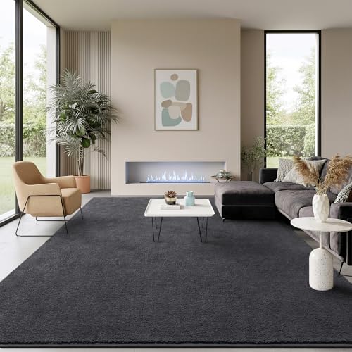 BENRON Soft Rugs for Living Room 5x7 Dark Grey, Area Rug for Bedroom Dorm | Minimalist, Low Pile Washabler Rug for Dining Table Kids boys Room Non Slip - color: Dark Grey, size: 5' x 7' (Rectangular)
