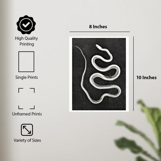 ALPINE INK CO. Snake Skeleton Poster - White Serpent Bone Artwork Style - Dark Gothic Animal Design - Living Room Office Wall Decor - 8x10 Unframed Print - color: Style-16, size: 8"L x 10"W