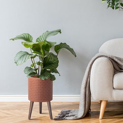 D'vine Dev Planter Pot with Wood Stand, 10 in, Terra Cotta, 88-Z-B-3 | Mid-Century Modern Style, Elevated Plant Display, Drainage Hole and Plug, Functional & Stylish, Modern Indoor Planter - color: Terra Cotta, size: Medium
