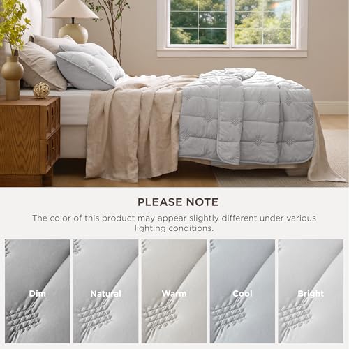 Bedsure Lightweight Comforter Queen Size – Extra Soft & Breathable Quilt Set, 3 Piece Prewashed Cotton-Like Polyester Bedding, Includes 1 Quilt 90x96 Inches with 2 Shams, Machine Washable, Light Grey - color: 02 - Light Grey, size: Queen / Full (90" x 96"