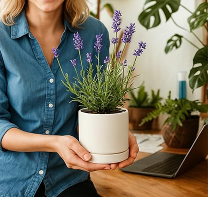 D'vine Dev 2-Pack Ceramic Pots with Saucers, White, 4.7 in, 94-V-B-1 | Modern Cylinder Design, Glazed Ceramic, Drainage Hole & Saucer Included, High Temperature Fired, Elegant Home Accent - color: White, size: 4.7 Inch
