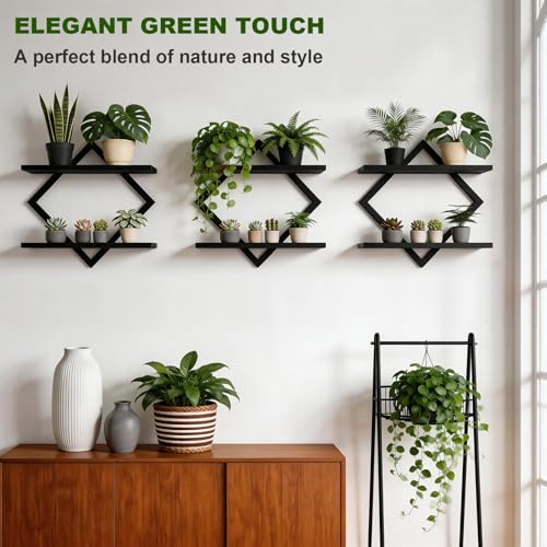 Set of 3 Wall Plant Holder, Black | Wall Planters for Indoor Plants, Window Plant Shelves, Floating Wall Shelves, For Plants, Books, Photos - color: Black-3pack