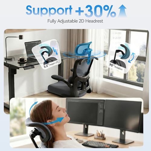 Ergonomic Office Chair, Desk Chair with Adjustable Lumbar Support | High Back Breathable Mesh Computer Chair with Adjustable Headrest,Hanger,Flip Up Armrest and Rocking Function for Home Office - color: Dark Gray